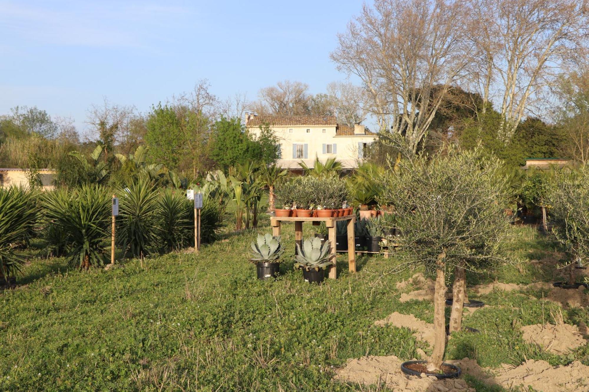 Mas Des Cerisiers Spa-Sauna Inclus Pour Tous Les Logements Avignon Exterior photo